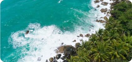 Pacific Coast Paradise in Puerto Vallarta